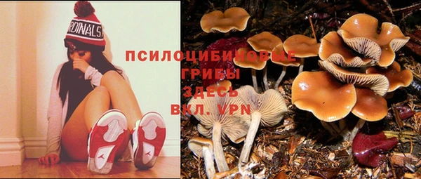 соль курить ск Абаза