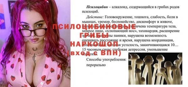 мяу мяу мука Абдулино