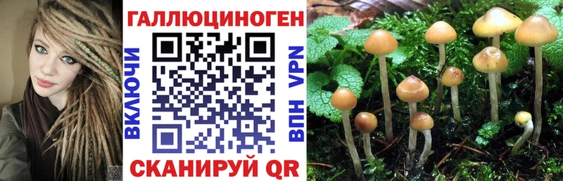 Галлюциногенные грибы мухоморы  Чишмы 